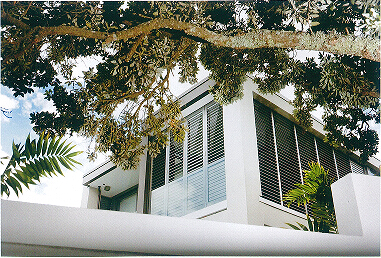 SHUTTER / BLIND